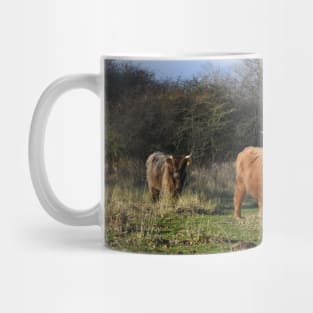 Cows Mug